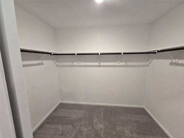 314 Nicholas Rd, Wharton, TX 77488 - walk in closet featuring carpet