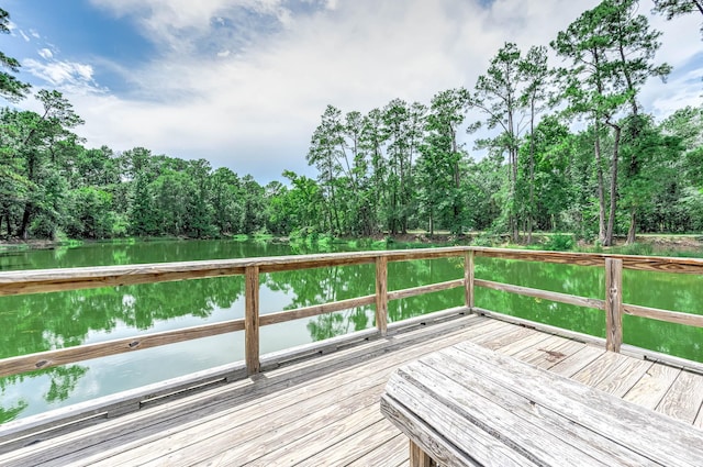 14531 San Pietro Dr, Houston, TX 77070 - photo 45