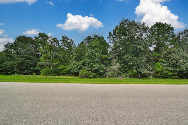 26180 Enzos Way, Montgomery, TX 77316 - photo 1