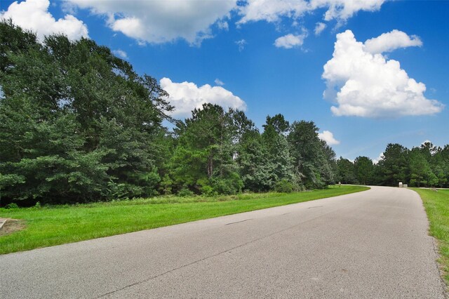 26180 Enzos Way, Montgomery, TX 77316 - photo 2