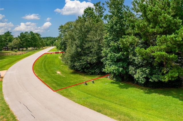 26180 Enzos Way, Montgomery, TX 77316 - photo 3
