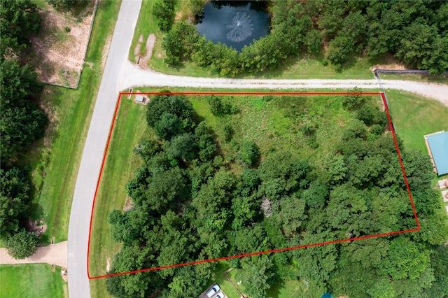 26180 Enzos Way, Montgomery, TX 77316 - photo 4