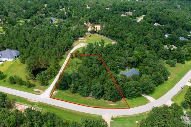 26180 Enzos Way, Montgomery, TX 77316 - photo 5