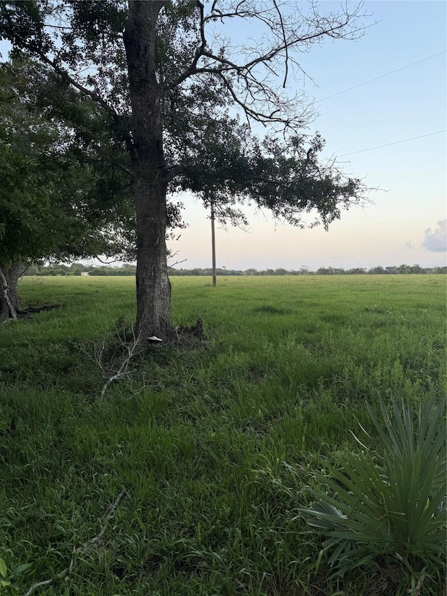 0 County Road 450, West Columbia, TX 77486 - photo 5