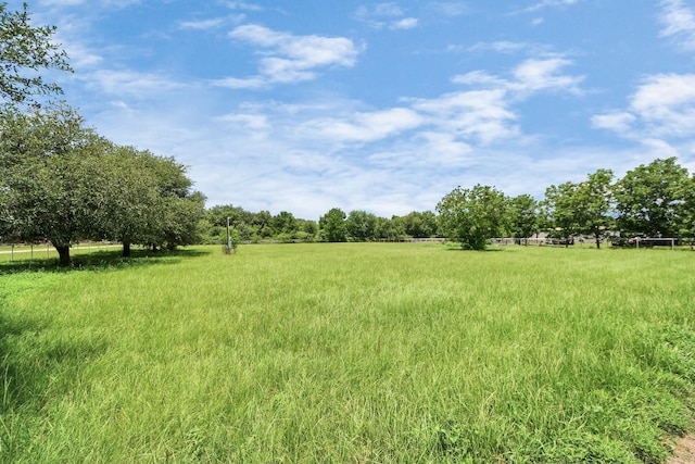 28802 Smalley Rd, Hockley, TX 77447 - photo 26