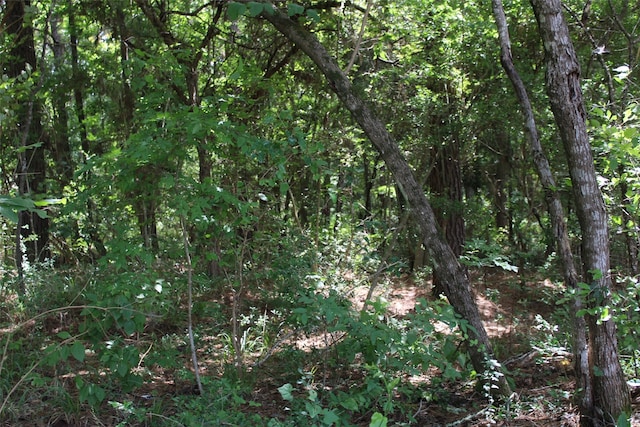 0 Counts Rd, Point Blank, TX 77364 - photo 2