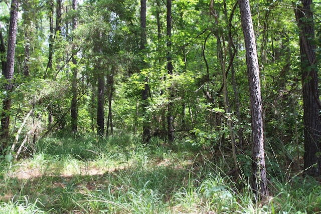 0 Counts Rd, Point Blank, TX 77364 - photo 3