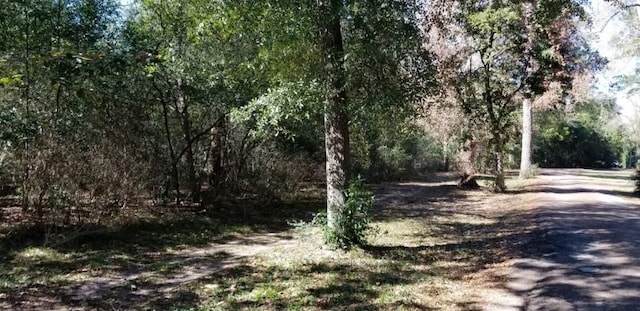 TBD Linwood, Conroe, TX 77304