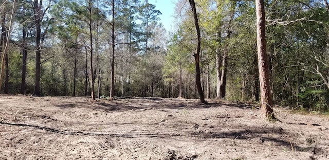 TBD Linwood, Conroe, TX 77304