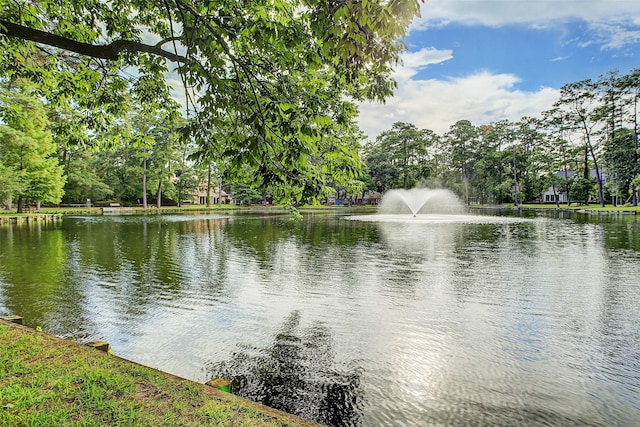 31 Sandalwood Dr, Houston, TX 77024 - photo 46
