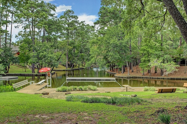 31 Sandalwood Dr, Houston, TX 77024 - photo 48
