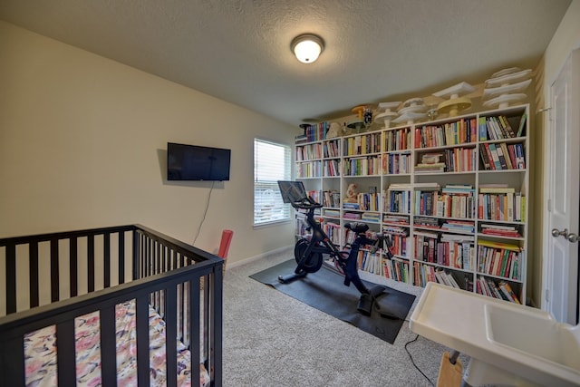 1009 Old Vine, Brenham, TX 77833 - bedroom featuring carpet floors and a textured ceiling