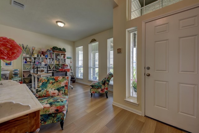 1009 Old Vine, Brenham, TX 77833 - entrance foyer with light wood-type flooring and baseboards