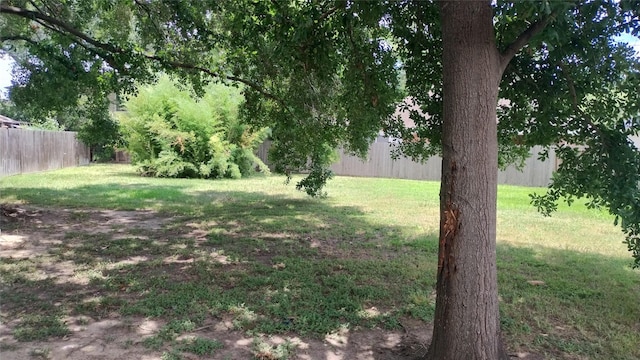 11718 Emerald Wood Dr, Houston, TX 77070 - view of yard