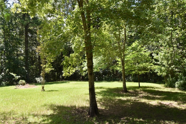 191 Harvey Bryant Rd, Coldspring, TX 77331 - view of grassy yard with a view of trees