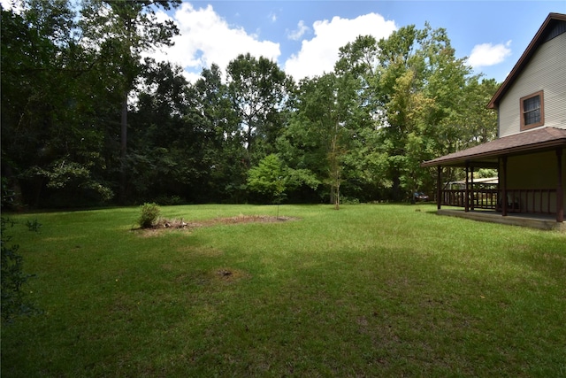 191 Harvey Bryant Rd, Coldspring, TX 77331 - view of green lawn