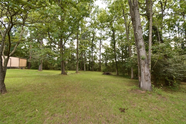 191 Harvey Bryant Rd, Coldspring, TX 77331 - view of grassy yard