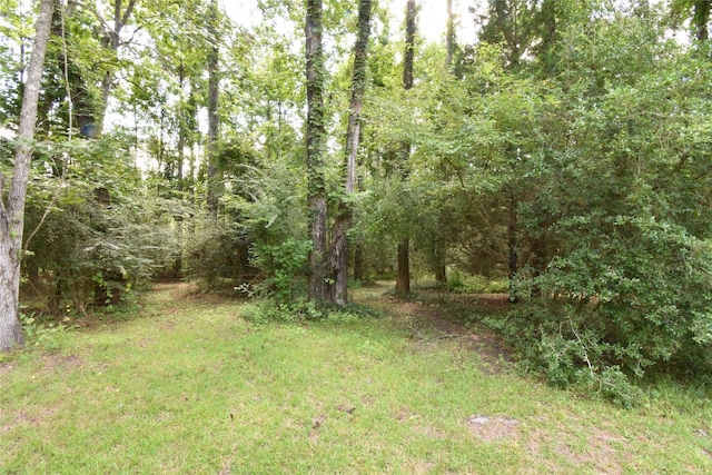 191 Harvey Bryant Rd, Coldspring, TX 77331 - view of yard featuring a forest view