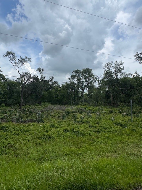0 M, West Columbia, TX 77486 - photo 1