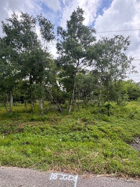 0 M, West Columbia, TX 77486 - photo 2