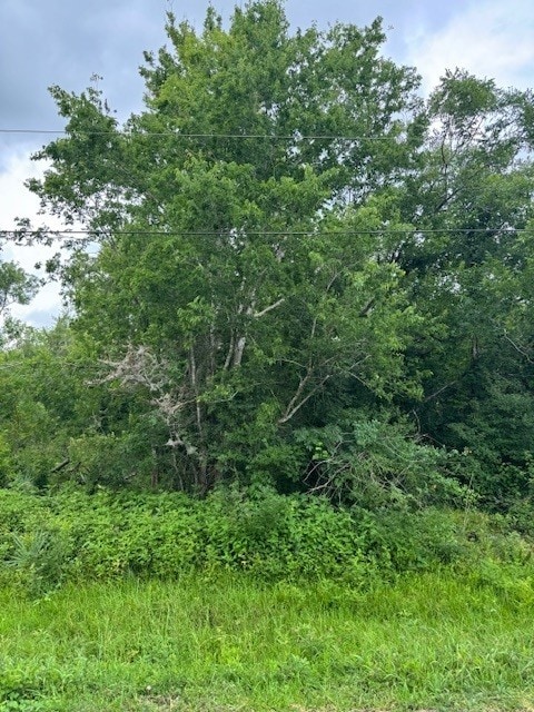 0 M, West Columbia, TX 77486 - photo 3