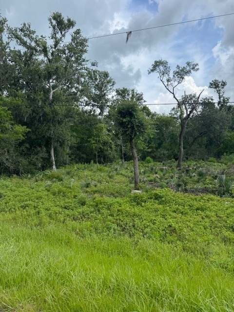0 M, West Columbia, TX 77486 - photo 4