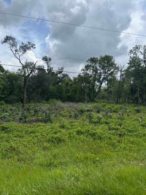 0 M, West Columbia, TX 77486 - photo 5