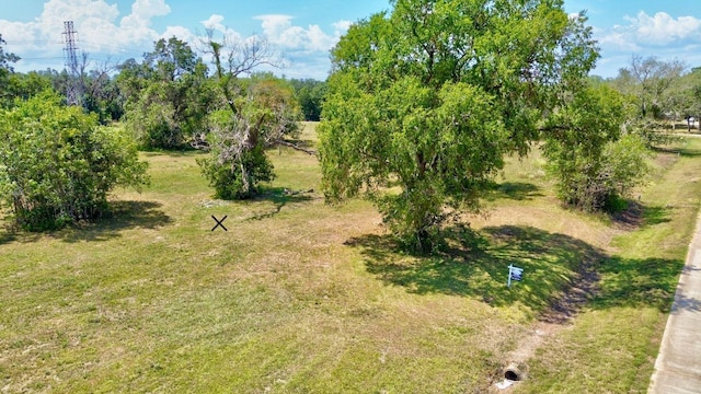 130 Horse Shoe Trl, Angleton, TX 77515 - photo 7