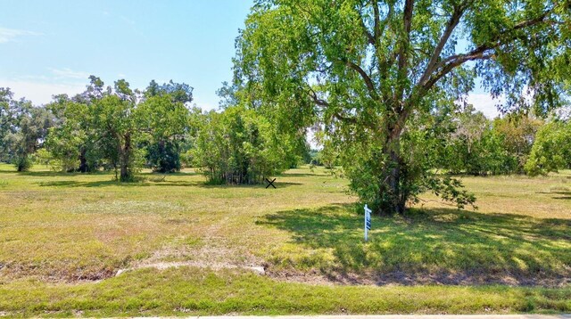 130 Horse Shoe Trl, Angleton, TX 77515 - photo 6