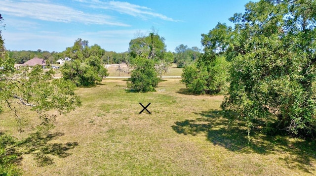 130 Horse Shoe Trl, Angleton, TX 77515 - photo 12