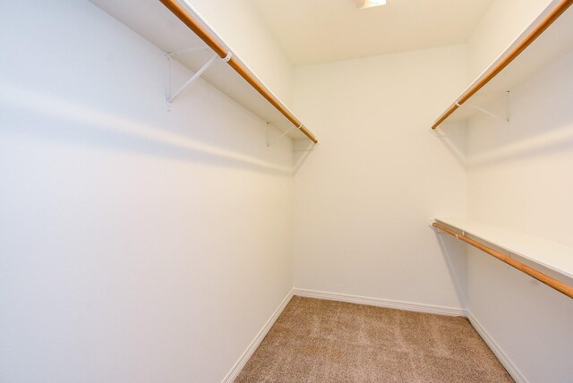 22314 Three Pines Dr, Hockley, TX 77447 - photo 27