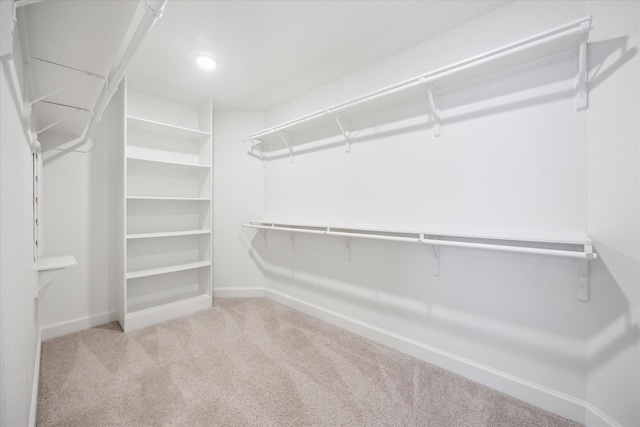 10011/2 Howard Ln, Houston, TX 77401 - photo 11