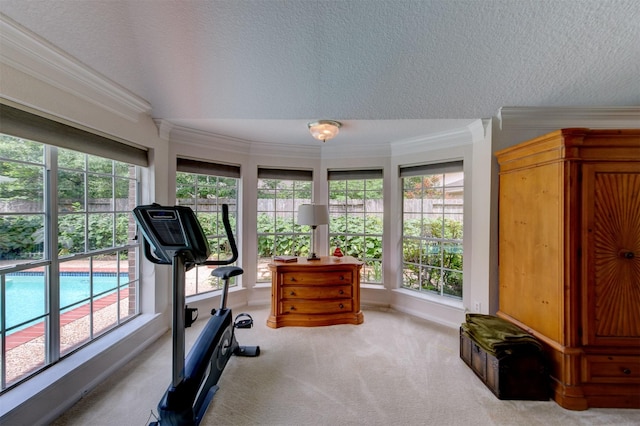 3910 Sand Myrtle Dr, Houston, TX 77059 - workout room featuring ornamental molding, a textured ceiling, carpet, and healthy amount of natural light