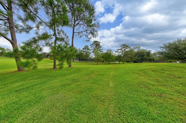 3910 Sand Myrtle Dr, Houston, TX 77059 - view of grassy yard