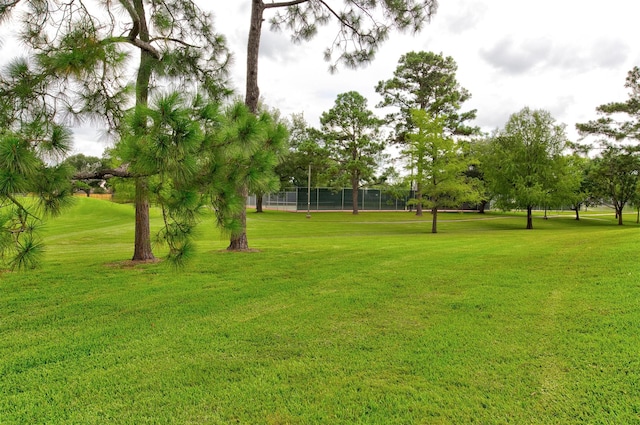 3910 Sand Myrtle Dr, Houston, TX 77059 - view of green lawn