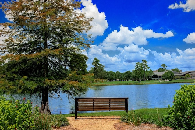 2 Black Cormorant Pl, The Woodlands, TX 77380 - photo 44