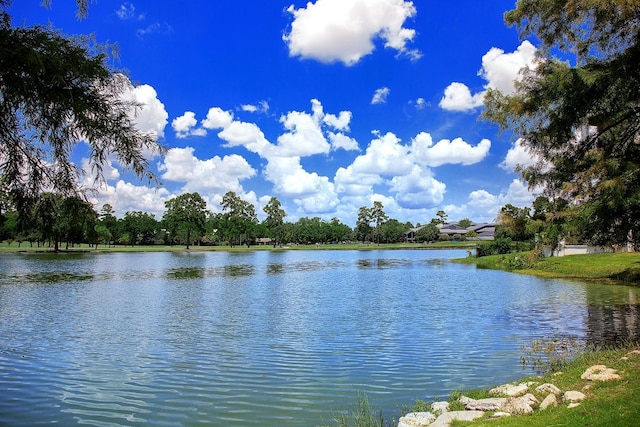 2 Black Cormorant Pl, The Woodlands, TX 77380 - photo 45