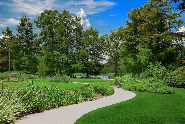 2 Black Cormorant Pl, The Woodlands, TX 77380 - photo 48