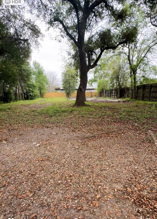 6910 Beela Rd, Houston, TX 77048 - photo 6