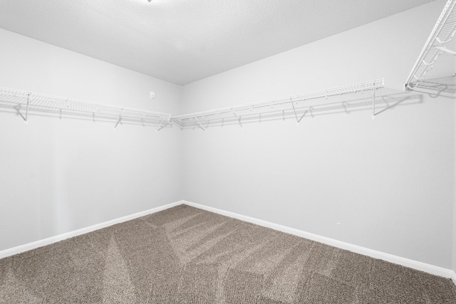 18203 Park Sage Ct, Cypress, TX 77433 - walk in closet with carpet