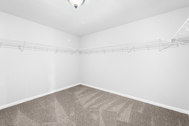 18203 Park Sage Ct, Cypress, TX 77433 - spacious closet featuring carpet flooring