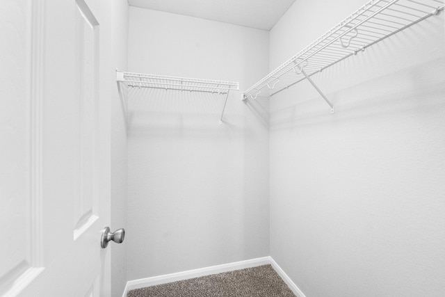 18203 Park Sage Ct, Cypress, TX 77433 - spacious closet featuring carpet floors