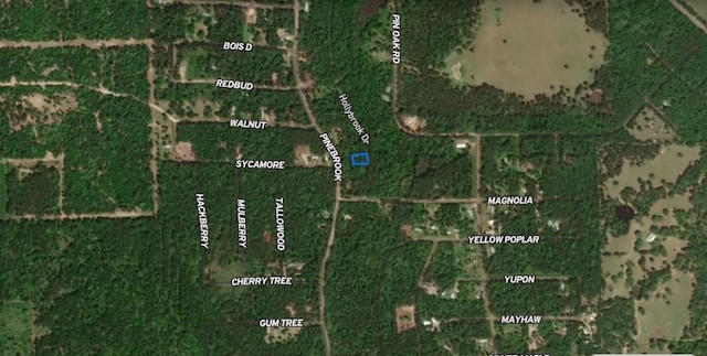 0 Hollybrook Dr, Plantersville, TX 77363 - photo 3