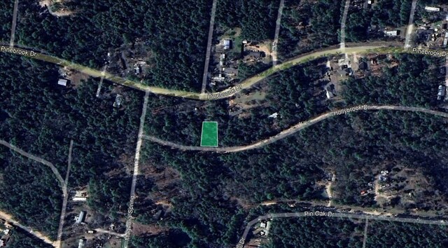 0 Hollybrook Dr, Plantersville, TX 77363 - photo 4