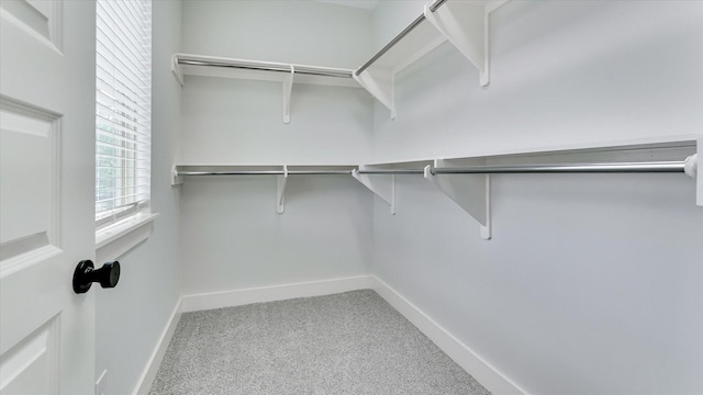 6902 Apollo St, Houston, TX 77091 - spacious closet with carpet
