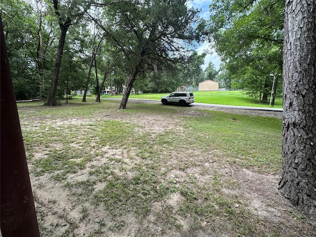 81 Wildwood Ln, Point Blank, TX 77364 - photo 19