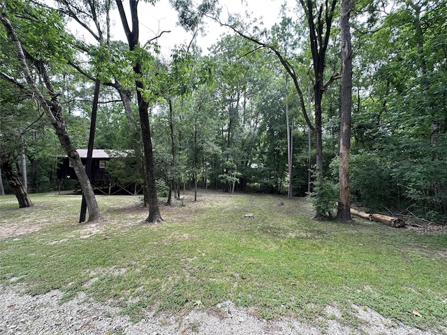 81 Wildwood Ln, Point Blank, TX 77364 - photo 7