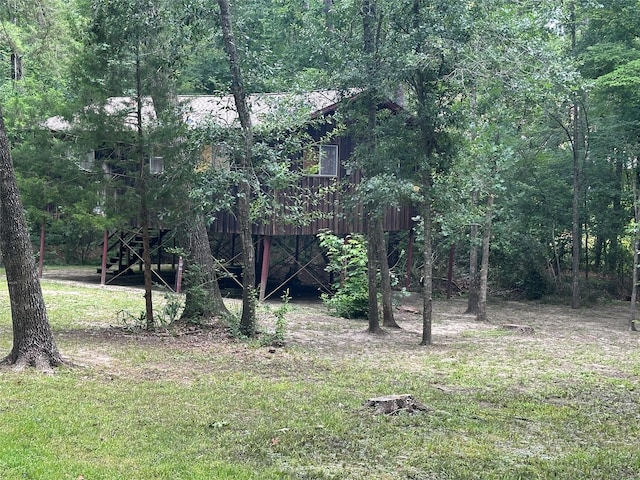 81 Wildwood Ln, Point Blank, TX 77364 - photo 9