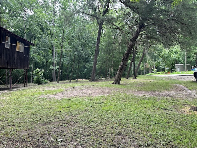81 Wildwood Ln, Point Blank, TX 77364 - photo 10