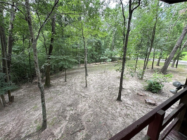 81 Wildwood Ln, Point Blank, TX 77364 - photo 18